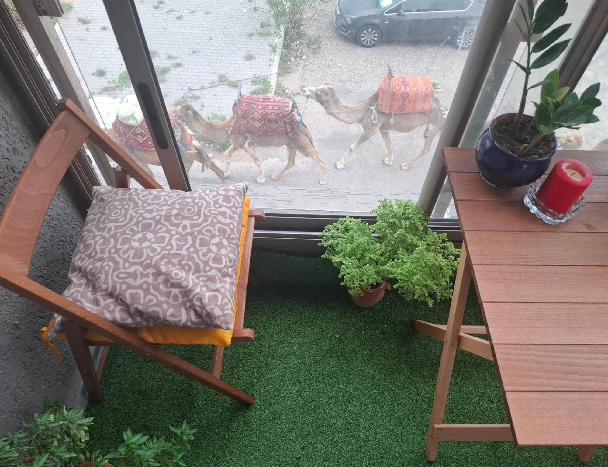 Azur Appartement As-Suwajra Zewnętrze zdjęcie